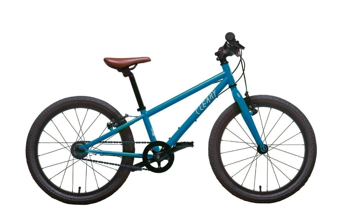 Cleary Owl 3-Speed 20-inch Kids& Bike Graphite