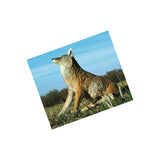 Flambeau Lone Howler Coyote Decoy