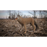 Flambeau Lone Howler Coyote Decoy