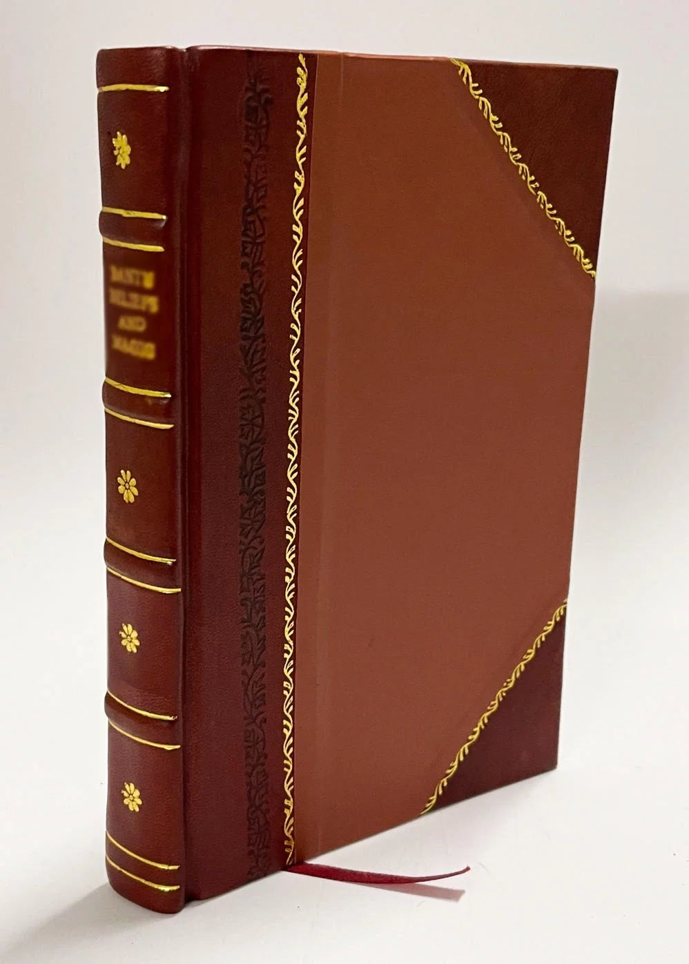 Germania Triumphans Sub Aquila Austriae Oder Beweisthum … / 1745 Edition (1745) [Leather Bound]