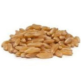 Bulk Grains 100% Organic Kamut Berries 25 lbs