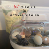 Manna Pro Harris Farms Nurture Right Incubator | Egg Incubator for Hatching Chicks | 360 Degree View