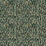 Buffalo Grass Seed – 15 lbs.