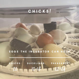 Manna Pro Harris Farms Nurture Right Incubator | Egg Incubator for Hatching Chicks | 360 Degree View
