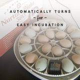 Manna Pro Harris Farms Nurture Right Incubator | Egg Incubator for Hatching Chicks | 360 Degree View